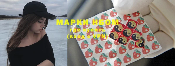 дмт Алексин