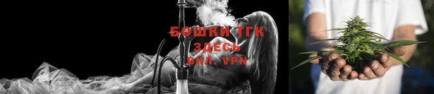 дмт Алексин