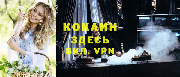 дмт Алексин