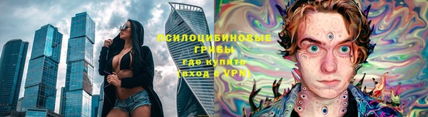 дмт Алексин