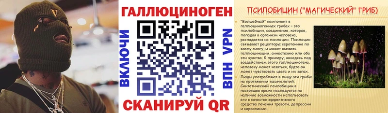 дарнет шоп Бодайбо Псилоцибиновые грибы GOLDEN TEACHER